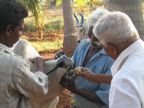 Pongal